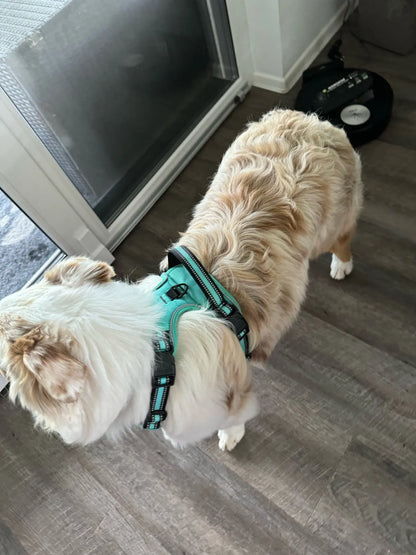 Sofur™ Dog Harness