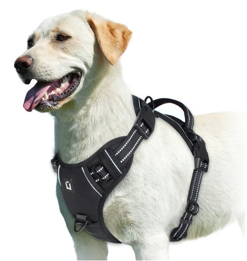 Sofur™ Dog Harness