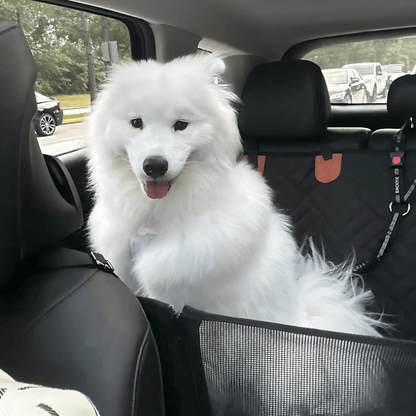 Sofur™️ Premium Car Dog Bed