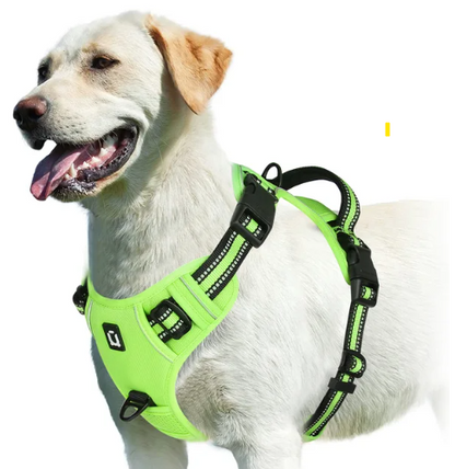 Sofur™ Dog Harness