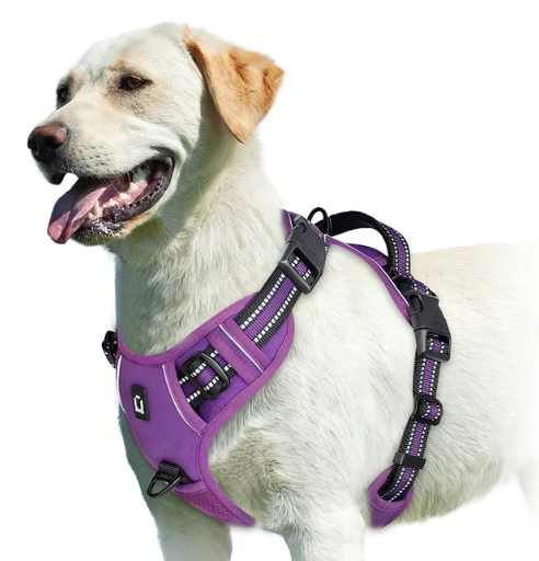 Sofur™ Dog Harness